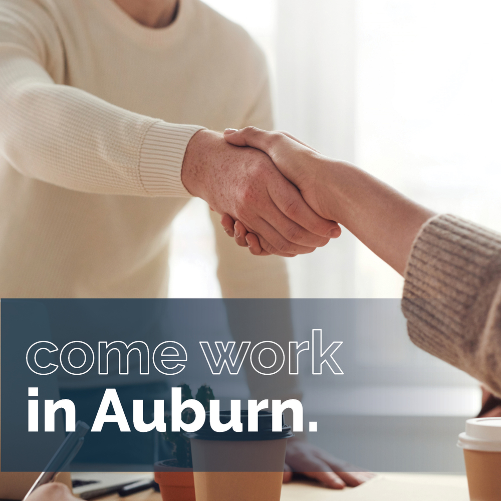 Resume Fair Auburn AL