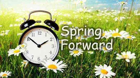 spring flowers with clock for daylight savings