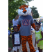 Email152015NNOPicsKB21.jpg Email152015NNOPicsKB21.jpg