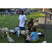 Youth at National Night Out petting baby animals.