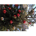 christmas tree filled with ornaments