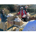 Christmas Farmers Market Volunteers