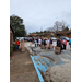 Thanksgiving Farmers Market attendees lining up for distribution