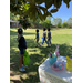 Children outside on the lawn participating in the Bunny Hunt