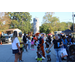  view of fall festival and aubie and crowd 